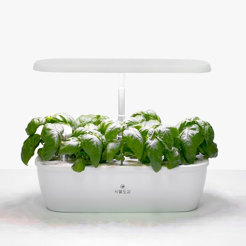 스피아노 식물도감 수경 LED 식물재배기 SGS-37 가정용 스마트팜 (씨앗 5종+영양액 30ml세트 증정)